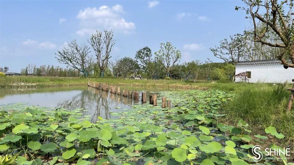 yuandang lake: where shanghai and jiangsu connect