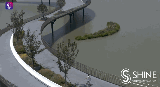 yuandang lake: where shanghai and jiangsu connect