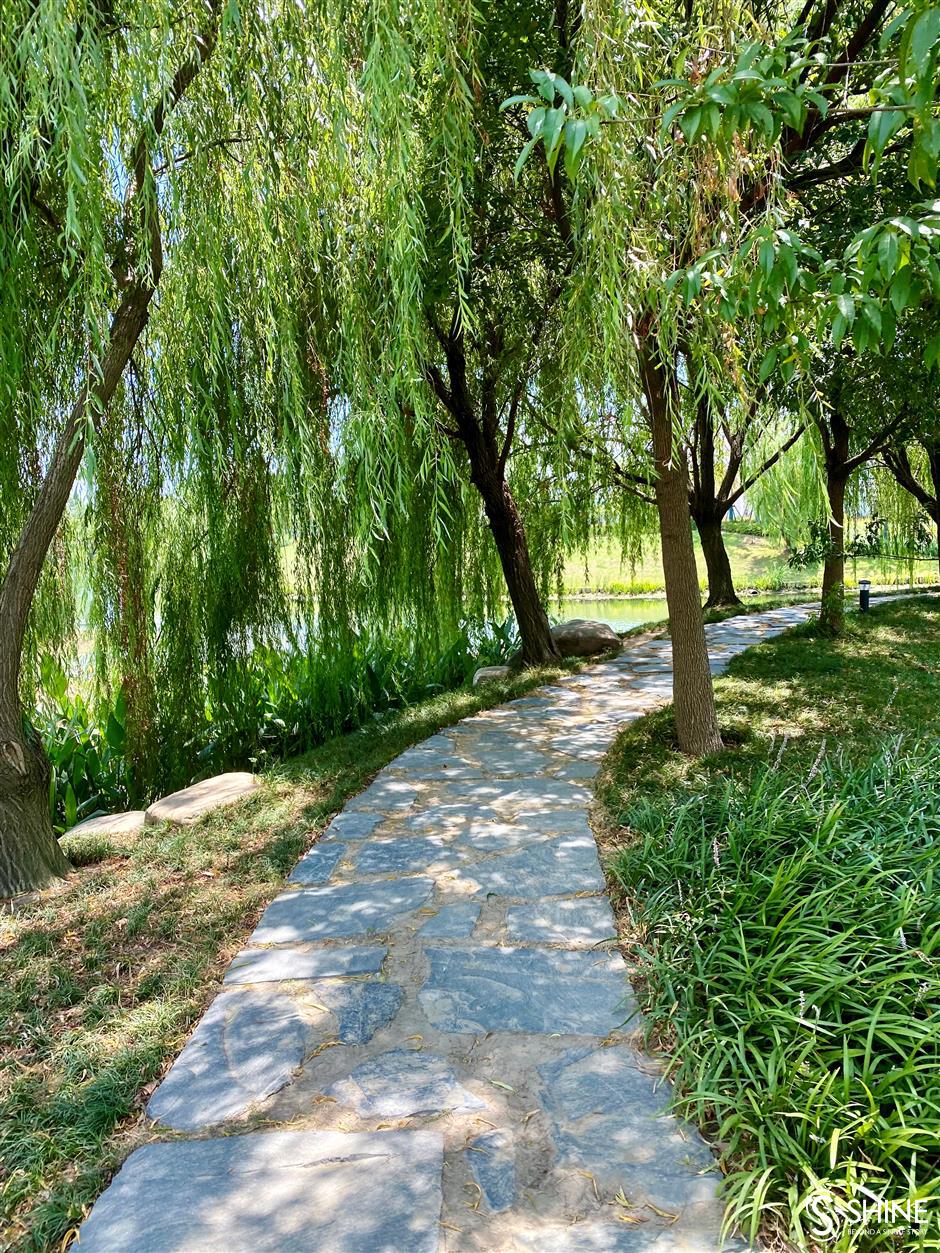 yuandang lake: where shanghai and jiangsu connect