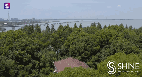 yuandang lake: where shanghai and jiangsu connect